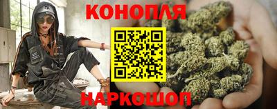 стаф Малгобек