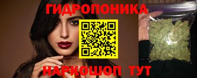 стаф Малгобек